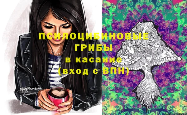 мдпв Абинск